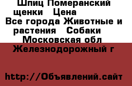 Шпиц Померанский щенки › Цена ­ 25 000 - Все города Животные и растения » Собаки   . Московская обл.,Железнодорожный г.